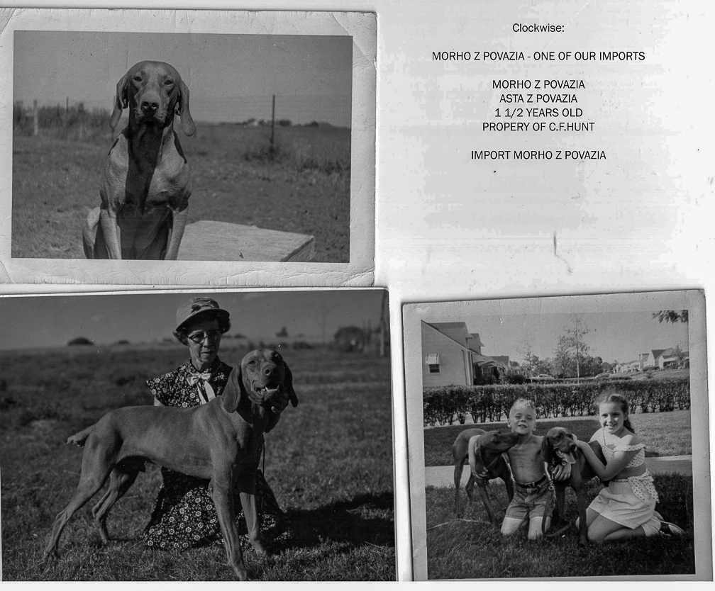 Morho z Povazia and Asta z Povazia